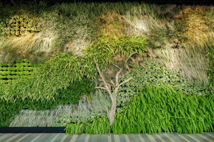 焦作600平米中餐厅设计装修效果图