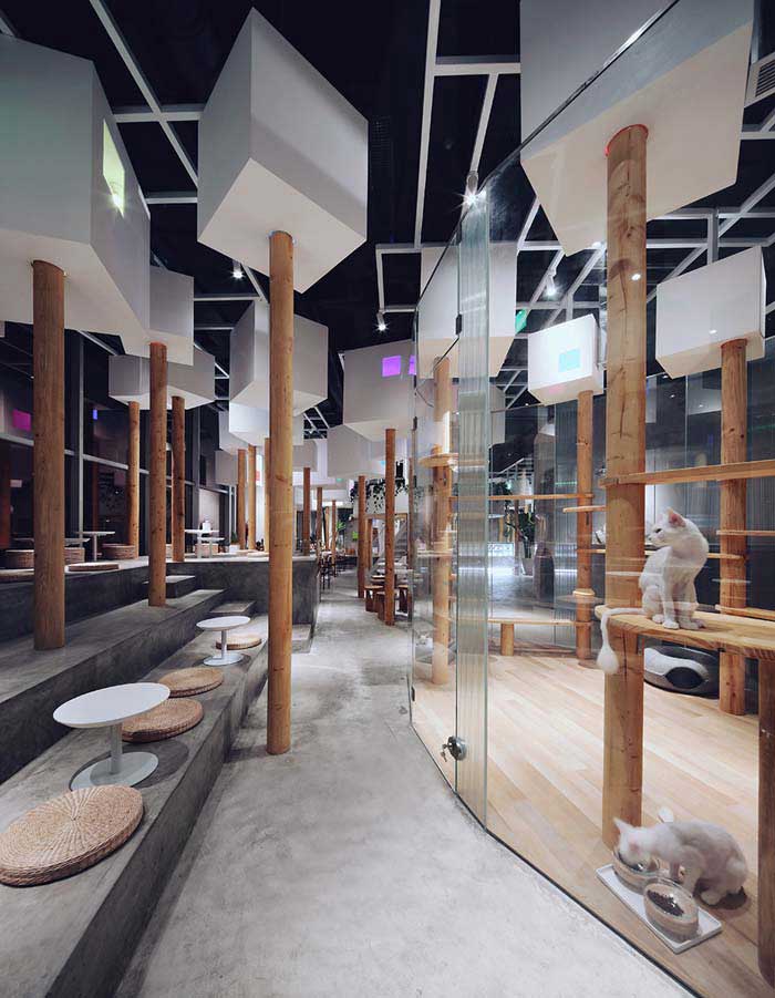 郑州300m2动物主题咖啡厅设计效果图