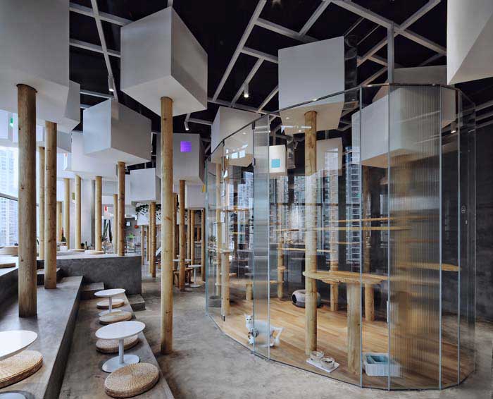 郑州300m2动物主题咖啡厅设计效果图