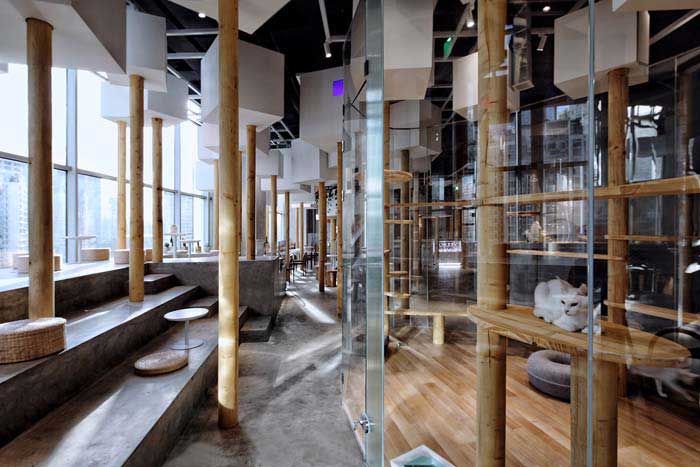 郑州300m2动物主题咖啡厅设计效果图