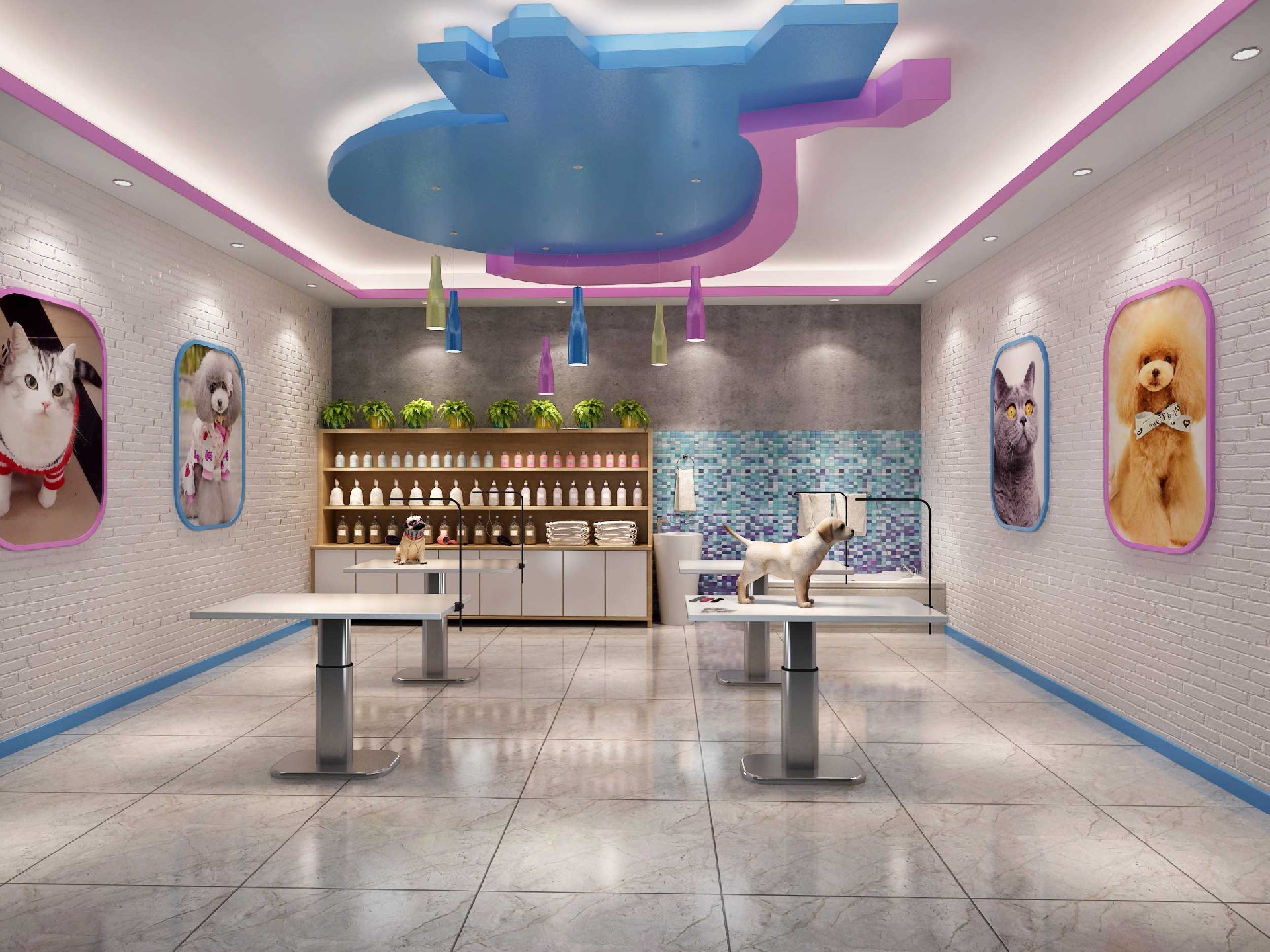 130平米郑州宠物店装修效果图