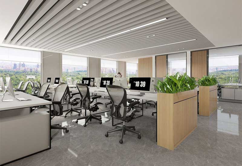 郑州办公室装修设计的绿植种类：耐阴与易养护品种